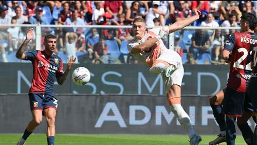 Paddy Betting: Ultimate Guide for Beginners